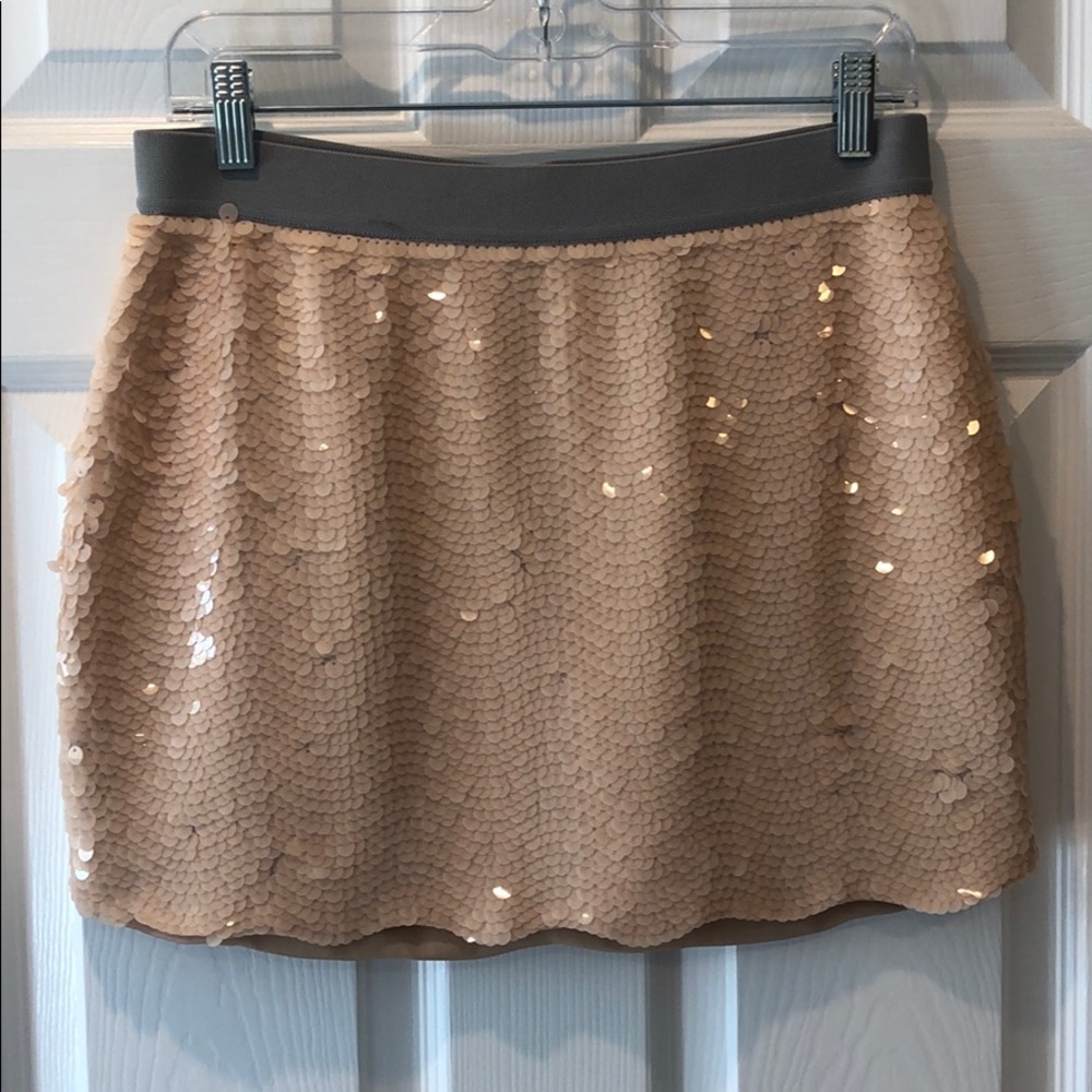Sequin Skirt